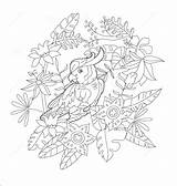 Bird Of Paradise Coloring Pages Select From Printable Coloring  The sketch template
