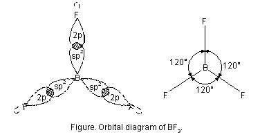 Hybridization Orbitals Chart