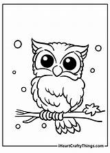 Wise Owl Coloring Pages  Buhos Para Colorear Páginas sketch template