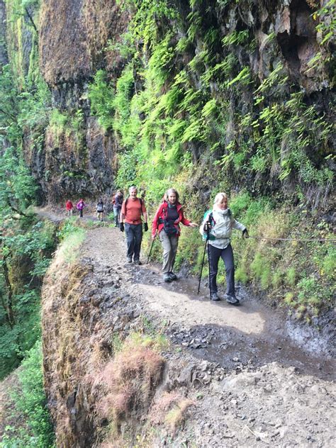 Columbia River Gorge Hiking Tour | Timberline Adventures