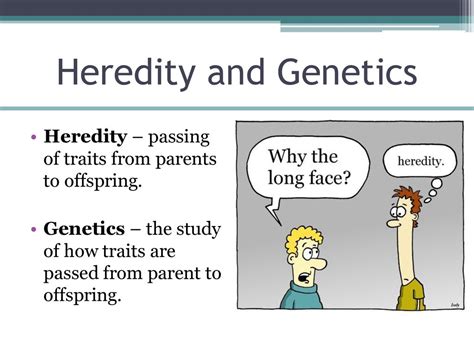 Biology of Heredity (Genetics) - ClassNotes.ng