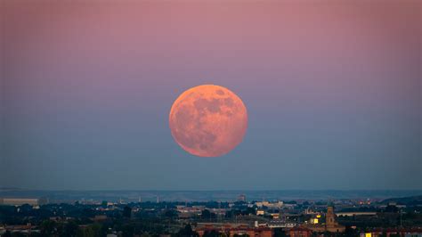 Strawberry moon: What the June full moon means for your zodiac - ABC7 New York