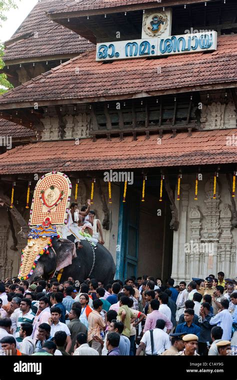 Elephant in front of the Vadakkunnathan Temple, Thrissur Pooram ...