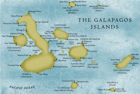 Topographic Map Of Galapagos Islands