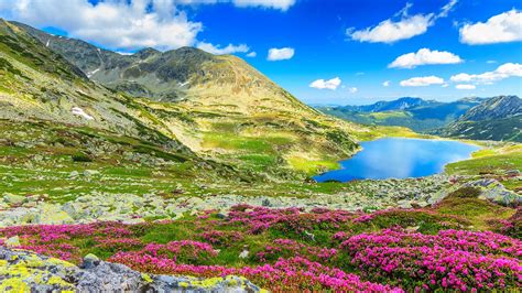 Retezat | Beautiful places to visit, Mountain lake, National parks