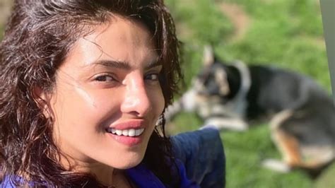 Priyanka Chopra flaunts a no-makeup look in sunny pic with her pup as she returns to London ...