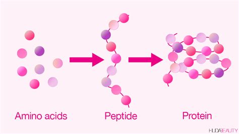 US online store selling top quality pre mixed peptides - A pharmacist ...