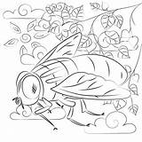 Fly coloring Page  ColouringPages sketch template