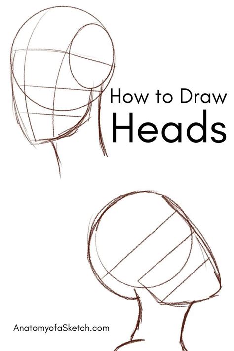 How to draw a head, how to draw heads, drawing tips for beginners Face ...