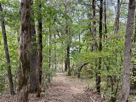 0.25 Acres of Residential Land with Home for Sale in Branson, Missouri - LandSearch