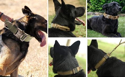 #1 Strongest Heavy Duty Tactical Dog Collar for Active Dogs