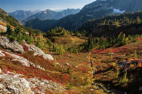 Autumn, North Cascades National Park Photograph by Eric Zamora