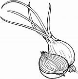 Vegetable Coloring Pages For Childrens Printable Free sketch template