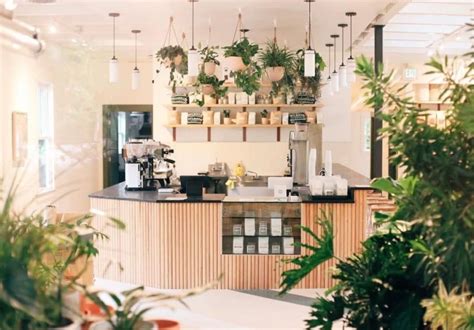 Stock Up On Plants At One Of Atlanta's Most Unique Coffeehouses ...