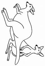 K Is For Kangaroo Coloring Page sketch template
