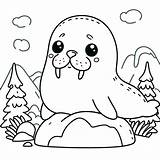 Very Cute Walrus coloring Page  Download Print Or Color Online For Free sketch template