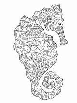 Free SEAHORSE Coloring Pages For Download Printable PDF sketch template