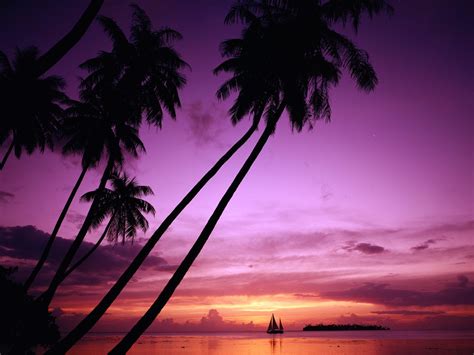 Paradise Sunset Wallpapers - 4k, HD Paradise Sunset Backgrounds on WallpaperBat