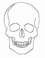 Skull Line Drawing Coloring Page Free Printable PDF sketch template