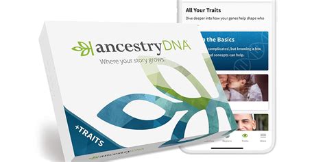 AncestryDNA's Traits + Ethnicity DNA Test Kit now $69 at Amazon (Reg. $119) - 9to5Toys