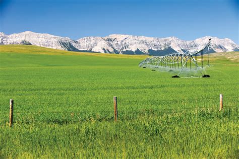 Managing irrigation with limited water - Grainews