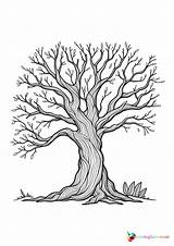 Tree coloring page – Coloring Corner sketch template