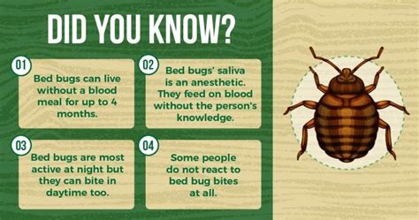 The Ultimate Guide to Bed Bugs Prevention in Singapore