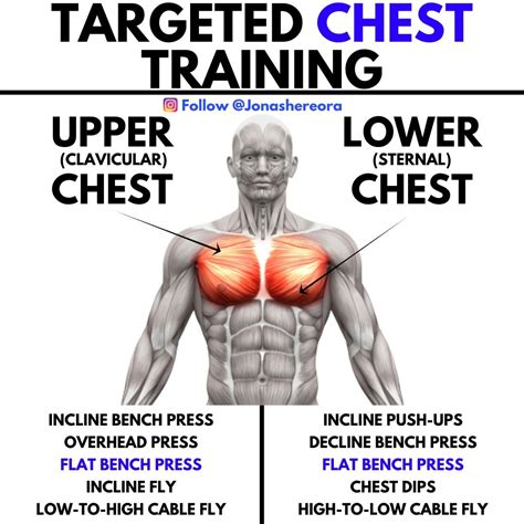 If You Want Bigger Pecs Then Build Your Chest With This Six-Move ...