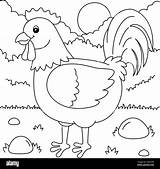 Chicken And Rooster Coloring Pages sketch template