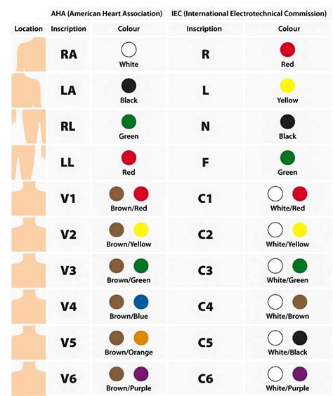 IEC-and-AHA-two-color-coding-standards-for-12-lead-ECG | YQF Medical Cable