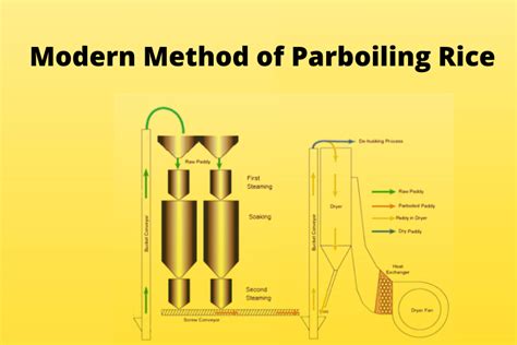 Forms of Rice: by Milling Process | Cohere Retails (I) Pvt. Ltd.