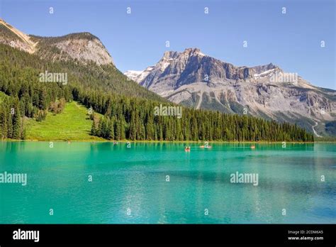 Emerald lake in Yoho National Park, BC. Turquoise lake surrounded by pine tree woods and rocky ...