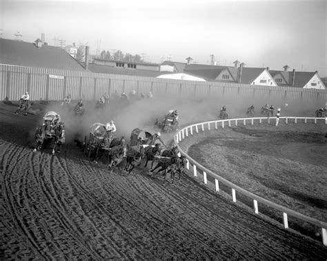 Chuckwagon racing, Calgary Stampede | Provincial Archives of… | Flickr