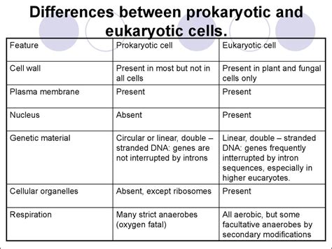 Compare and contrast prokaryotic and eukaryotic cells - programsxoler