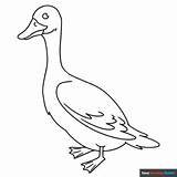 Goose Coloring Page  Easy Drawing Guides sketch template