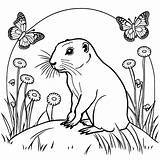 Prairie dog In Field With Butterflies coloring Page Lulu Pages sketch template