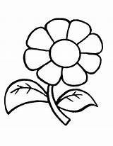 Simple Flower For Kindergarten sketch template