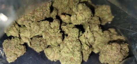 What is ZaZa? Everything You Need to Know About the ZaZa Weed Strain What is the ZaZa Weed ...