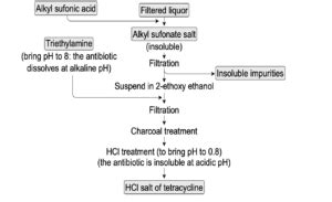 Tetracycline: Production, Biosynthesis, and Mechanism of Action - The ...