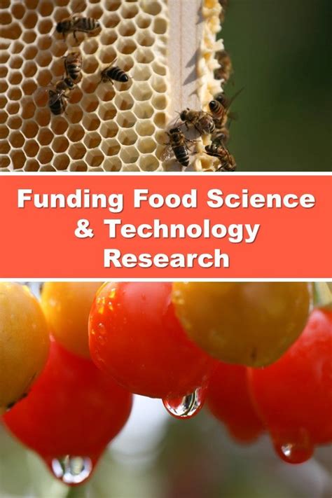 Funding Food Science and Technology Research | Food science, Food technologist, Food