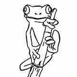 Free Frog Coloring Pages For Kids sketch template
