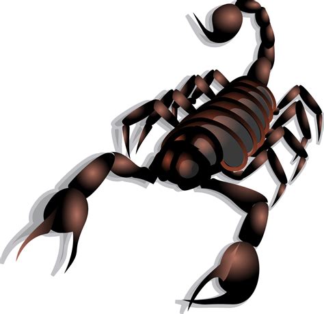 Scorpion Clip art - Vector Scorpion png download - 1173*1138 - Free ...