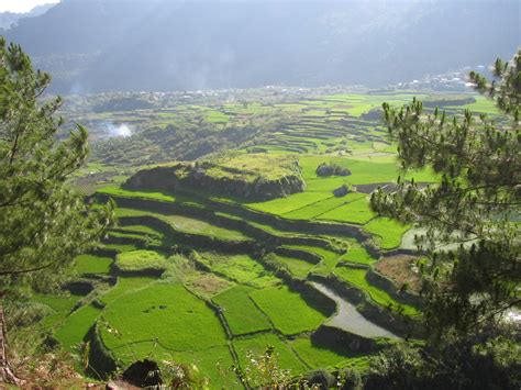 Sagada Rice Terraces by asucachan on DeviantArt