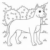 Great Dane Dog Coloring Page sketch template