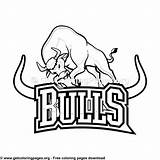 Chicago Bulls Logo Coloring Page sketch template
