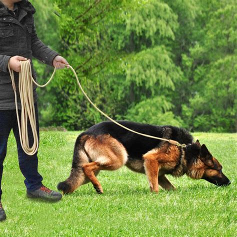 Extra Long Training Dog Tracking Leash Heavy Duty Nylon Rope 10ft 16ft 33ft 66ft | eBay