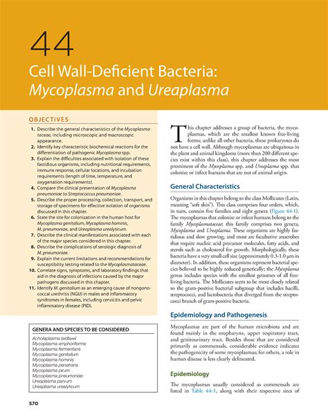 CELL WALL Deficient Bacteria BOOK 2 - ####### 570 O B JE C T IV E S ####### 1. Describe the ...