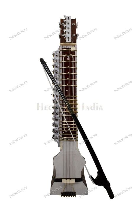 New Professional Classical Indian Musical String Instrument Dilruba ...