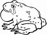 Soulmuseumblog Toad Coloring Pages sketch template