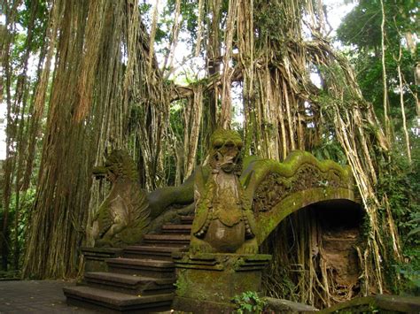 Ubud Monkey Forest, Nature Reserves To 340 Monkeys - Traveldigg.com